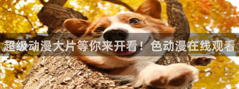 日韩动漫综合