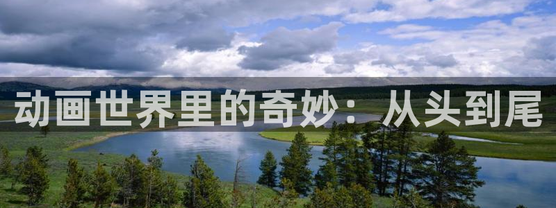日韩动漫在线免费：动画世界里的奇妙：从头到尾